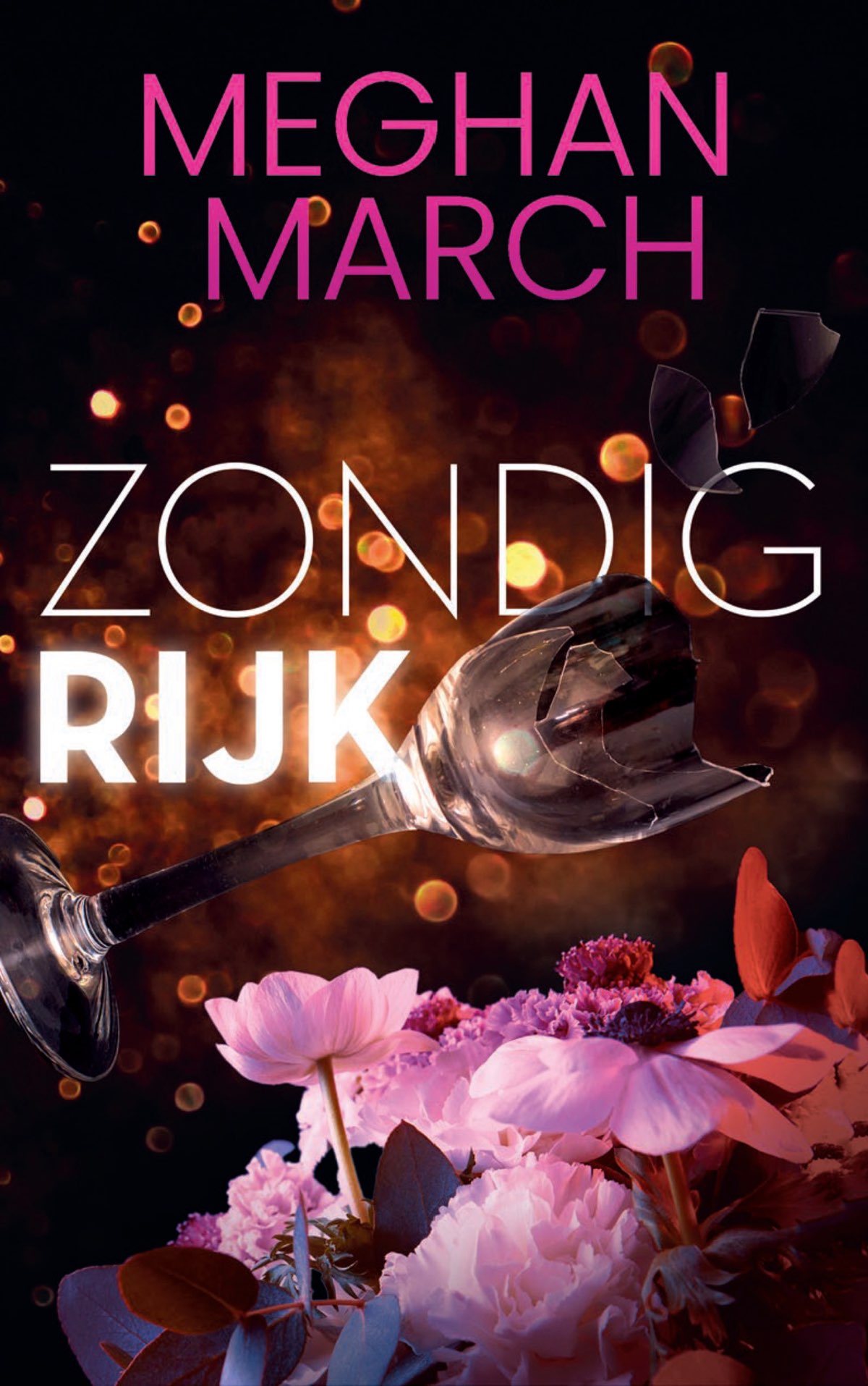 Zondig rijk