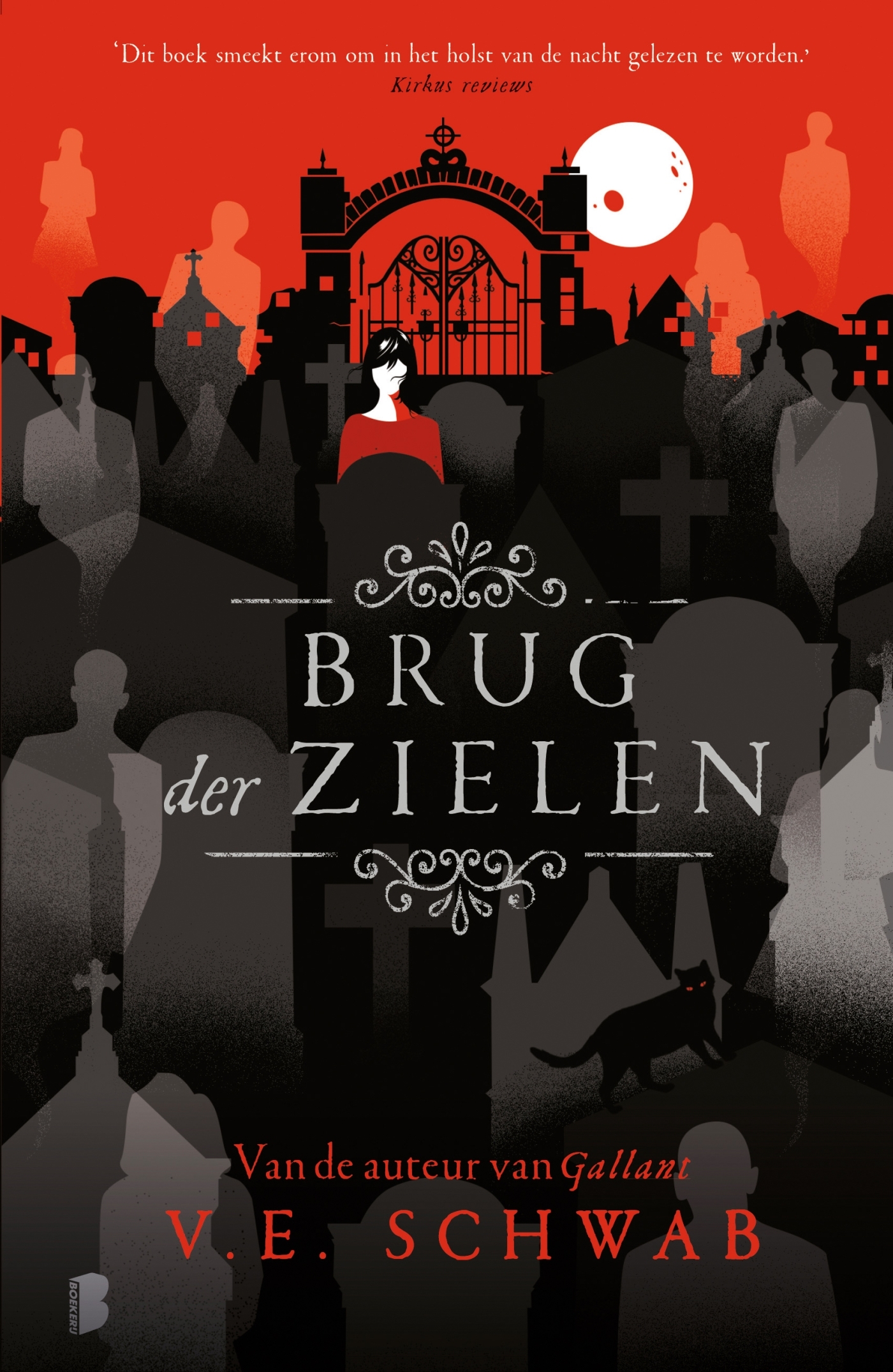 Brug der zielen