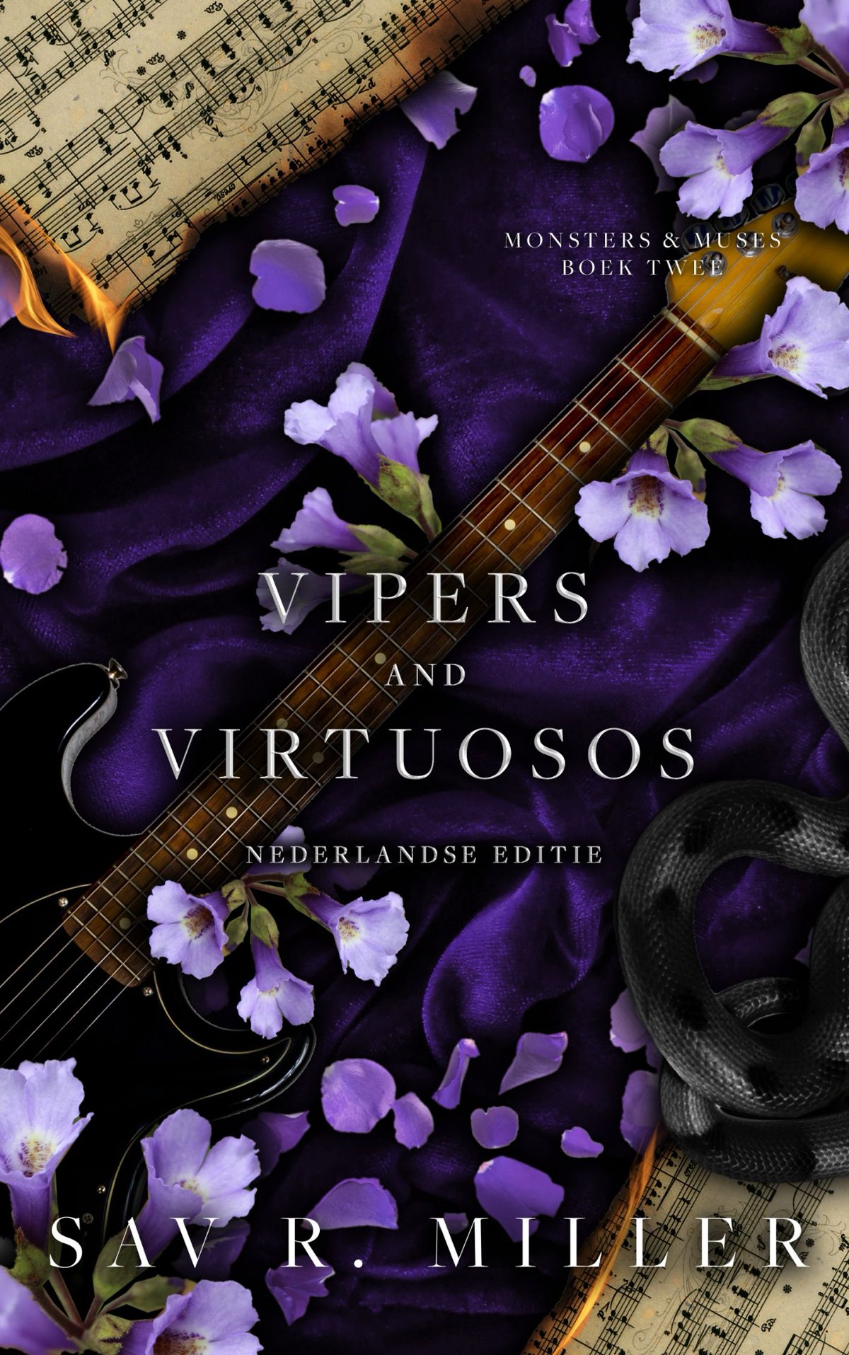 Vipers and virtuosos: Een dark rockstar romance