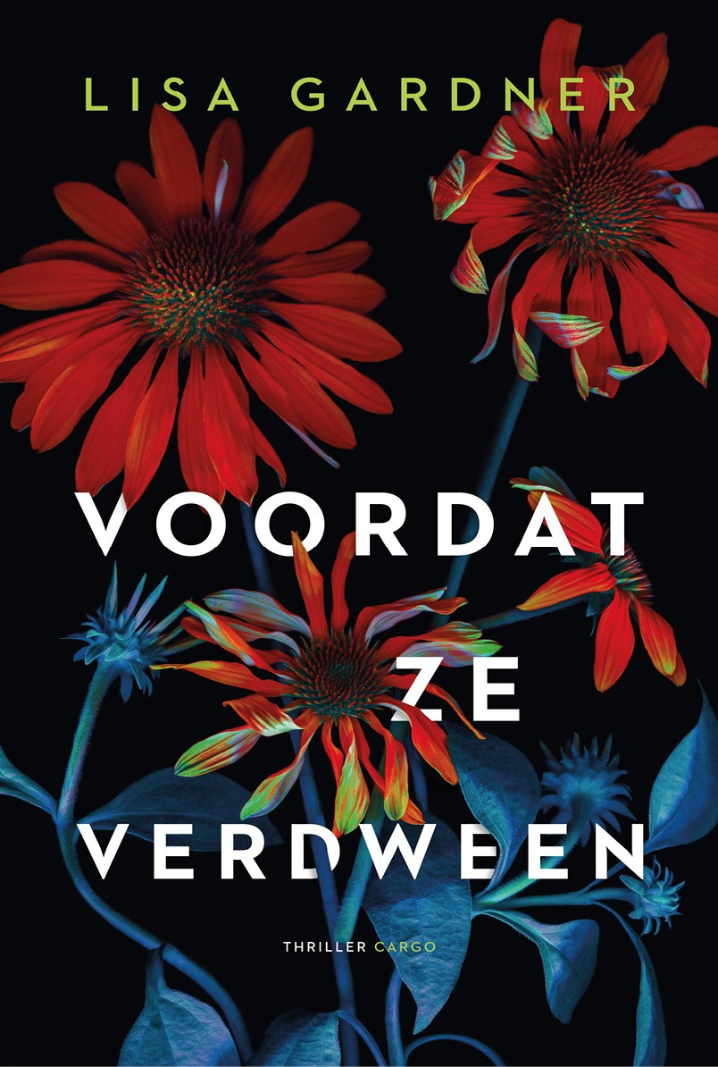 Voordat ze verdween