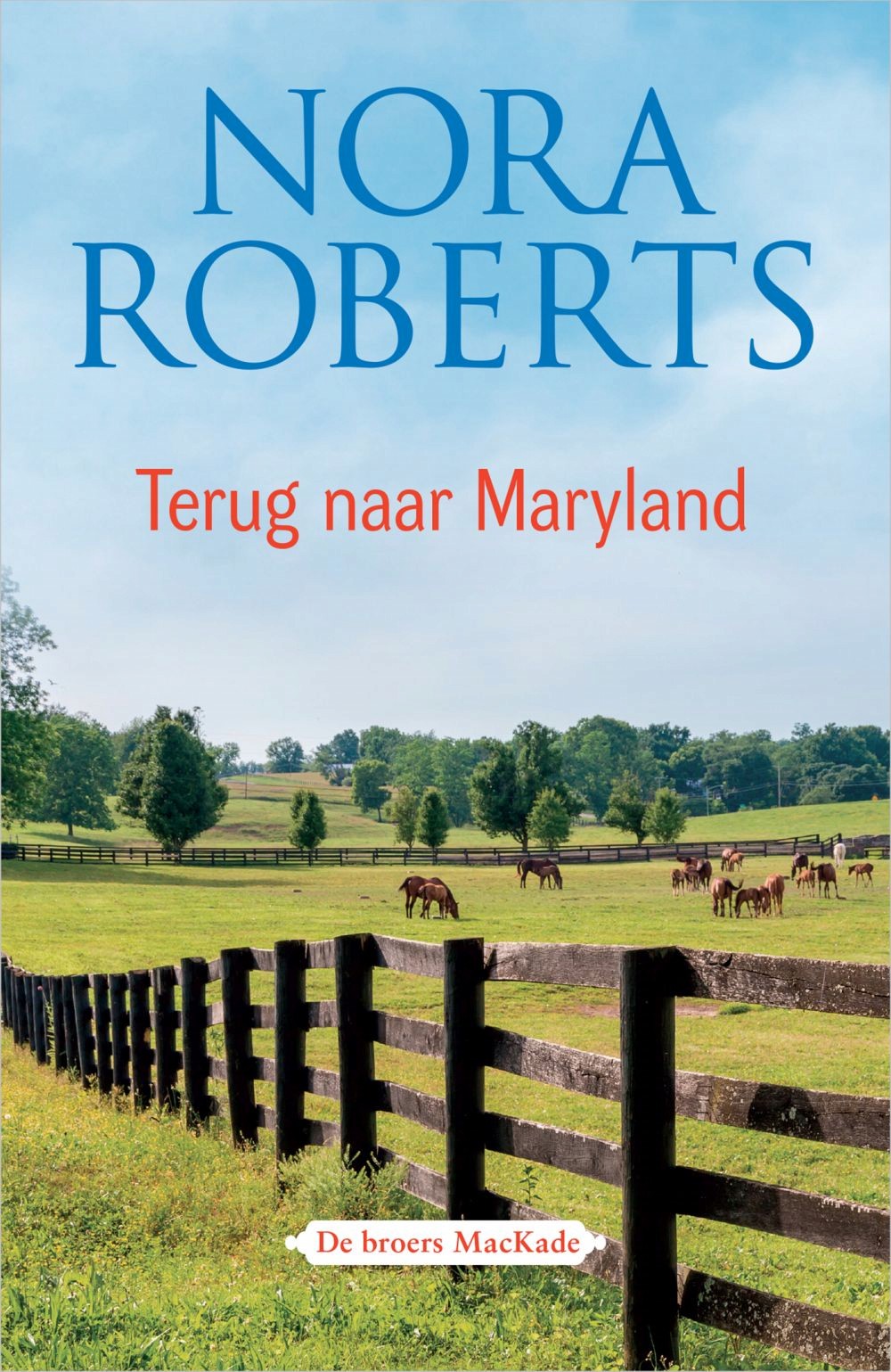 Terug naar Maryland: Rafe & Jared - De broers MacKade deel 1 & 2
