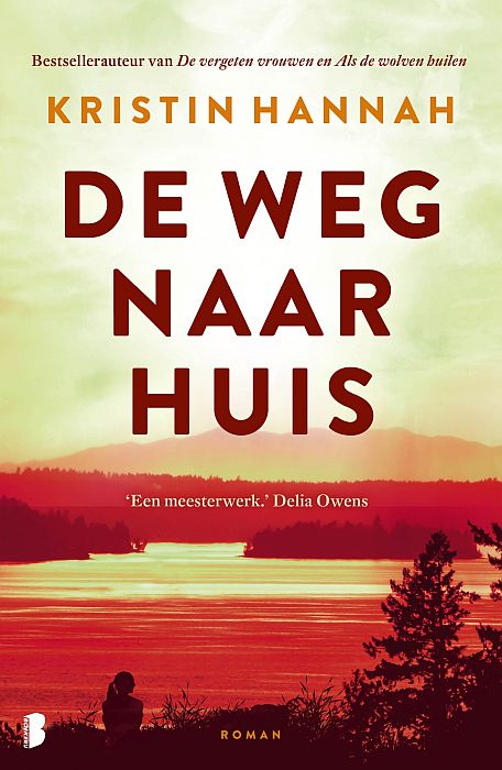 De weg naar huis