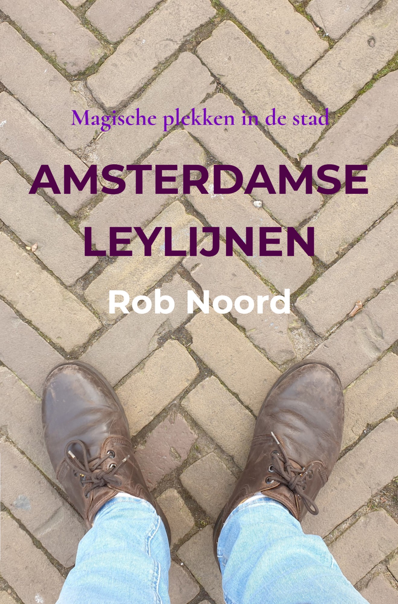 Amsterdamse Leylijnen