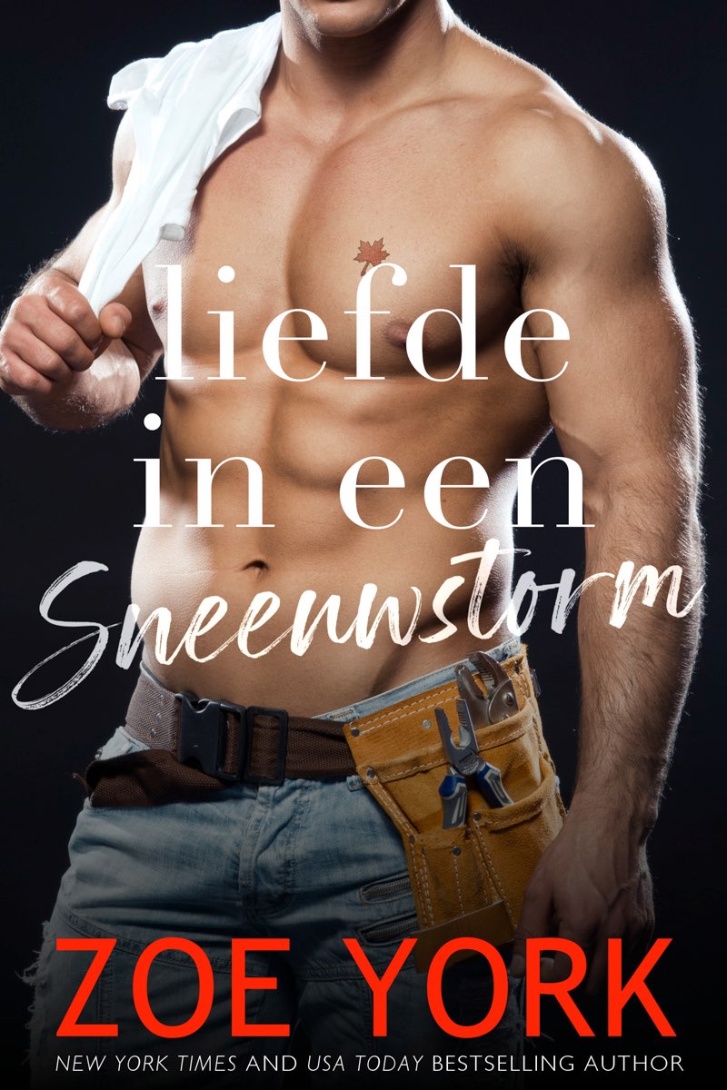 Liefde In een sneeuwstorm