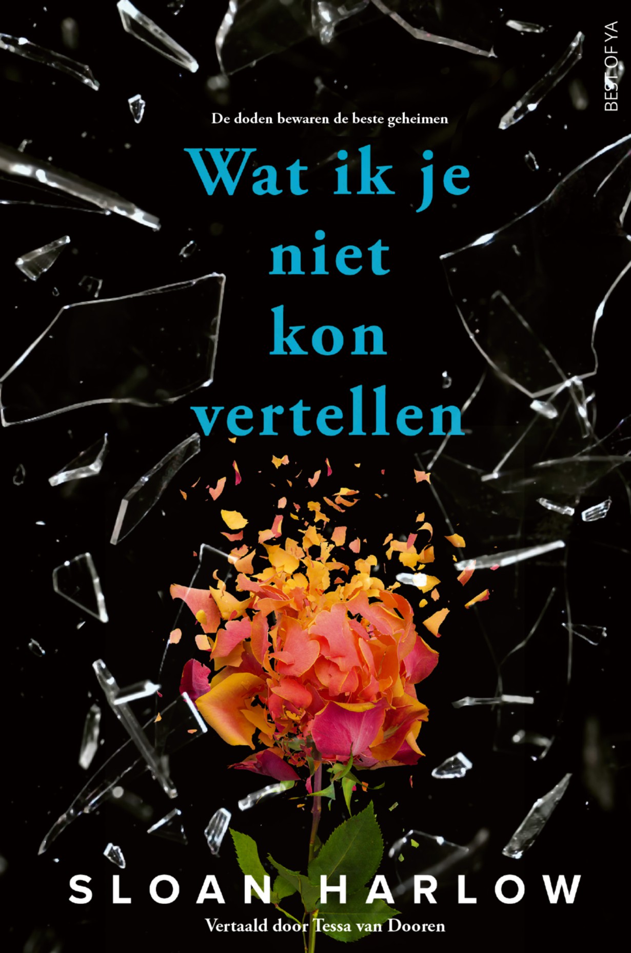 Wat ik je niet kon vertellen