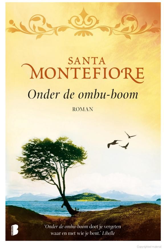 Onder de Ombu-boom