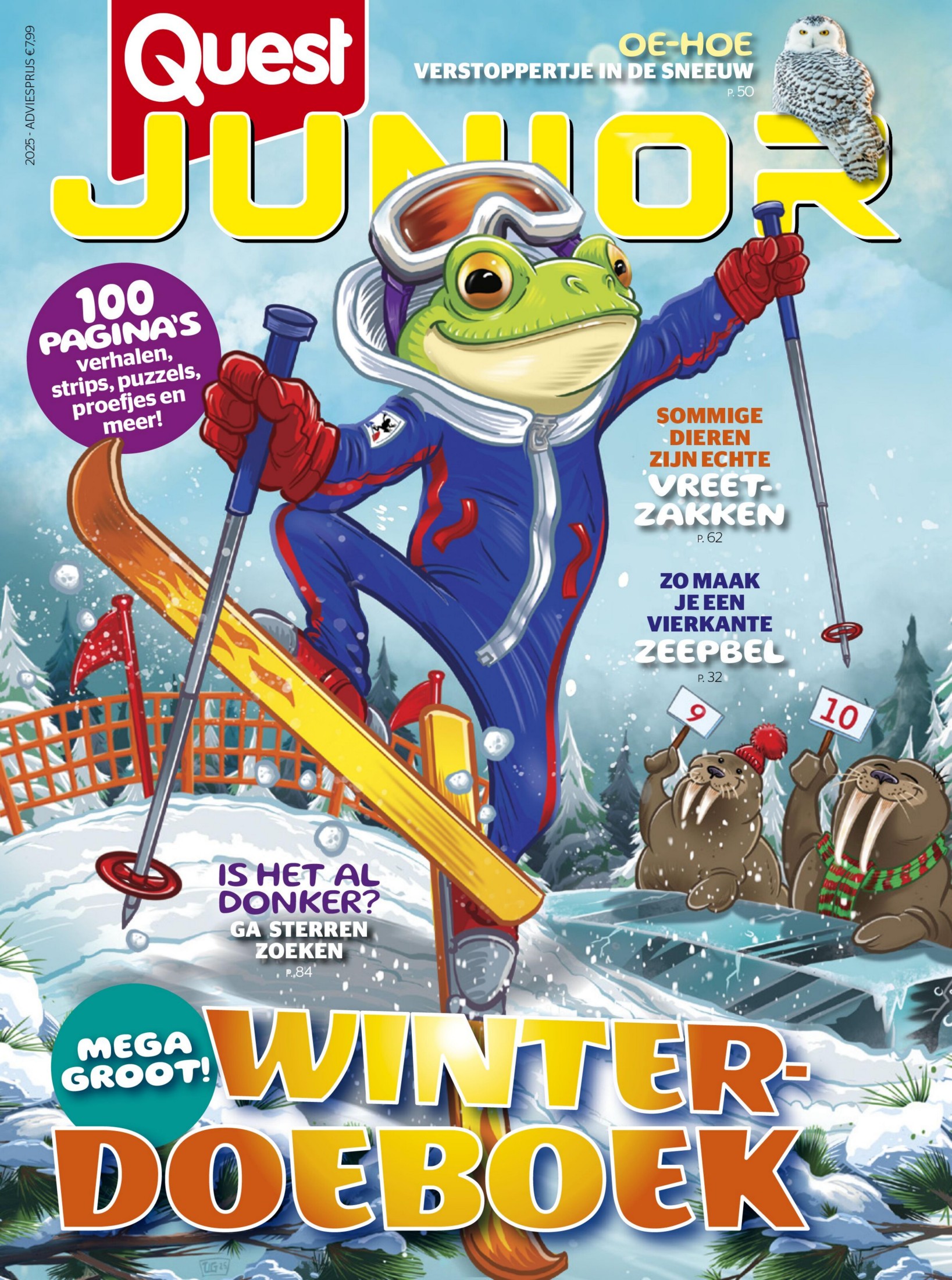 Quest Junior - November 2025