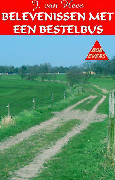 Belevenissen met een bestelbus