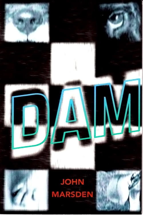 Dam