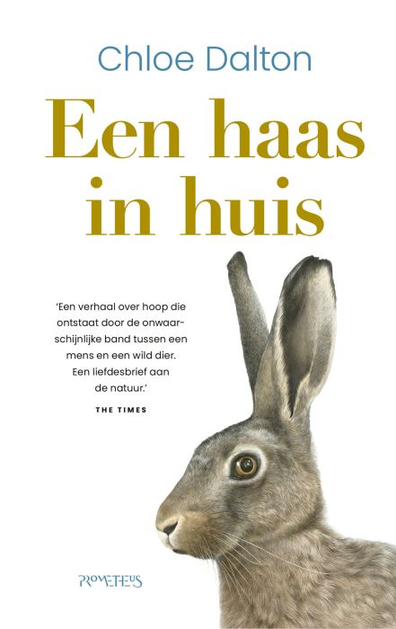 Een haas in huis