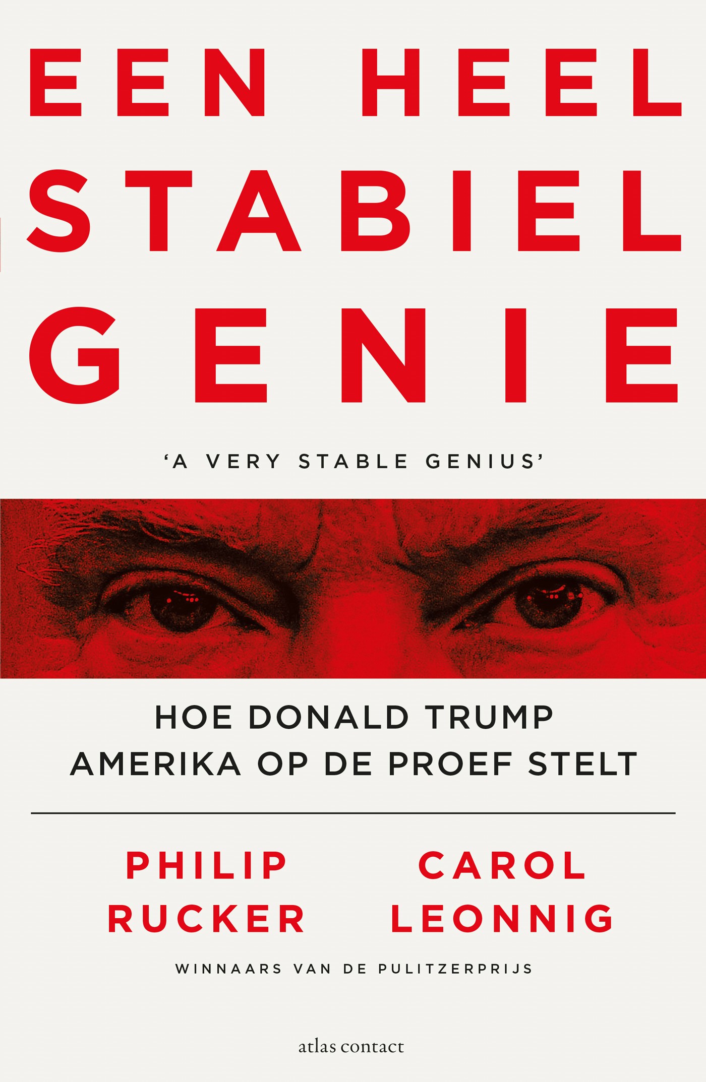 Een heel stabiel genie