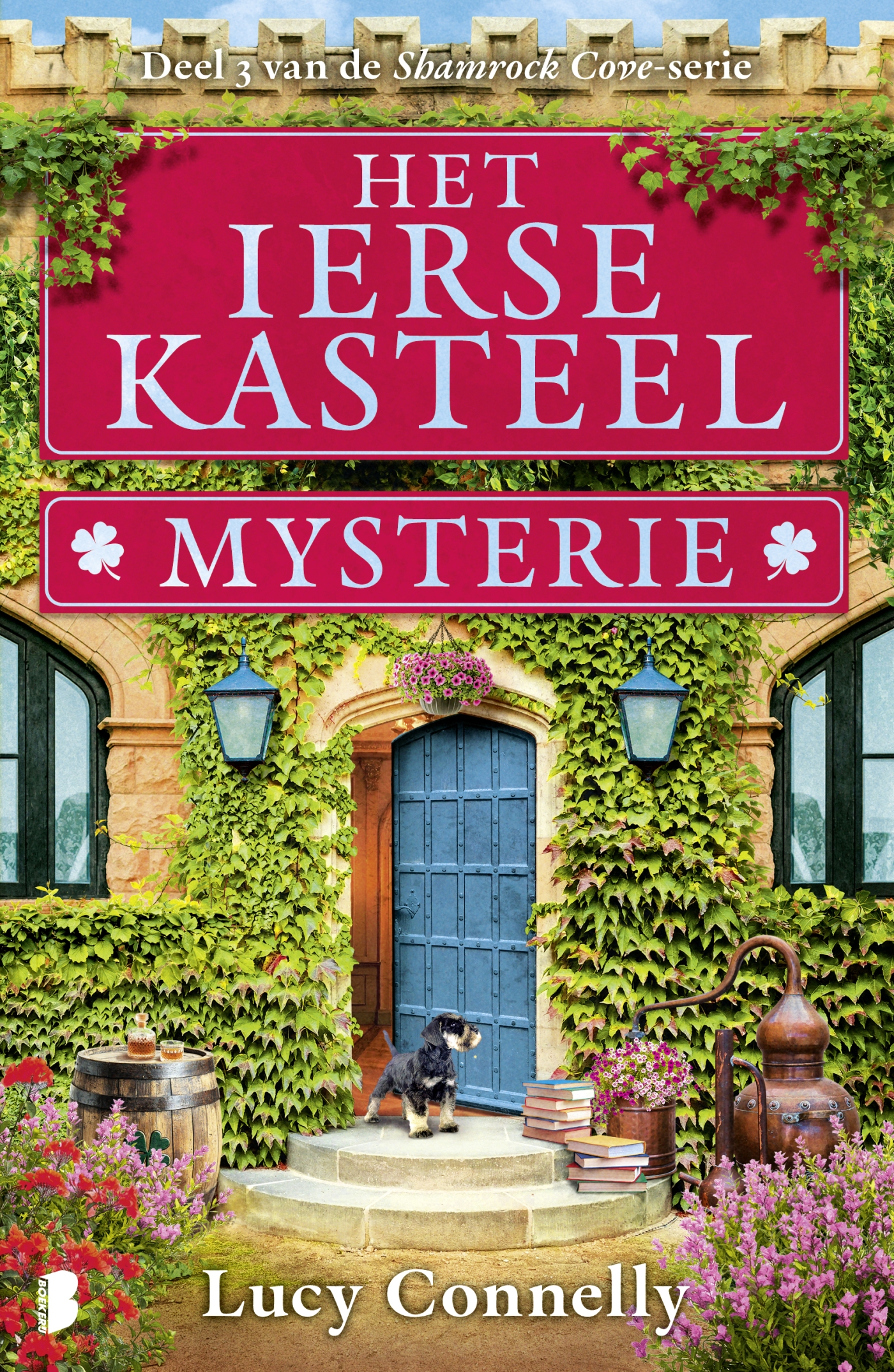 Het Ierse kasteelmysterie