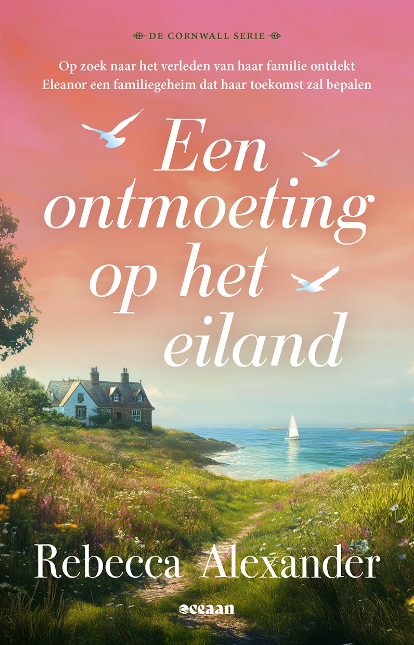 Een ontmoeting op het eiland
