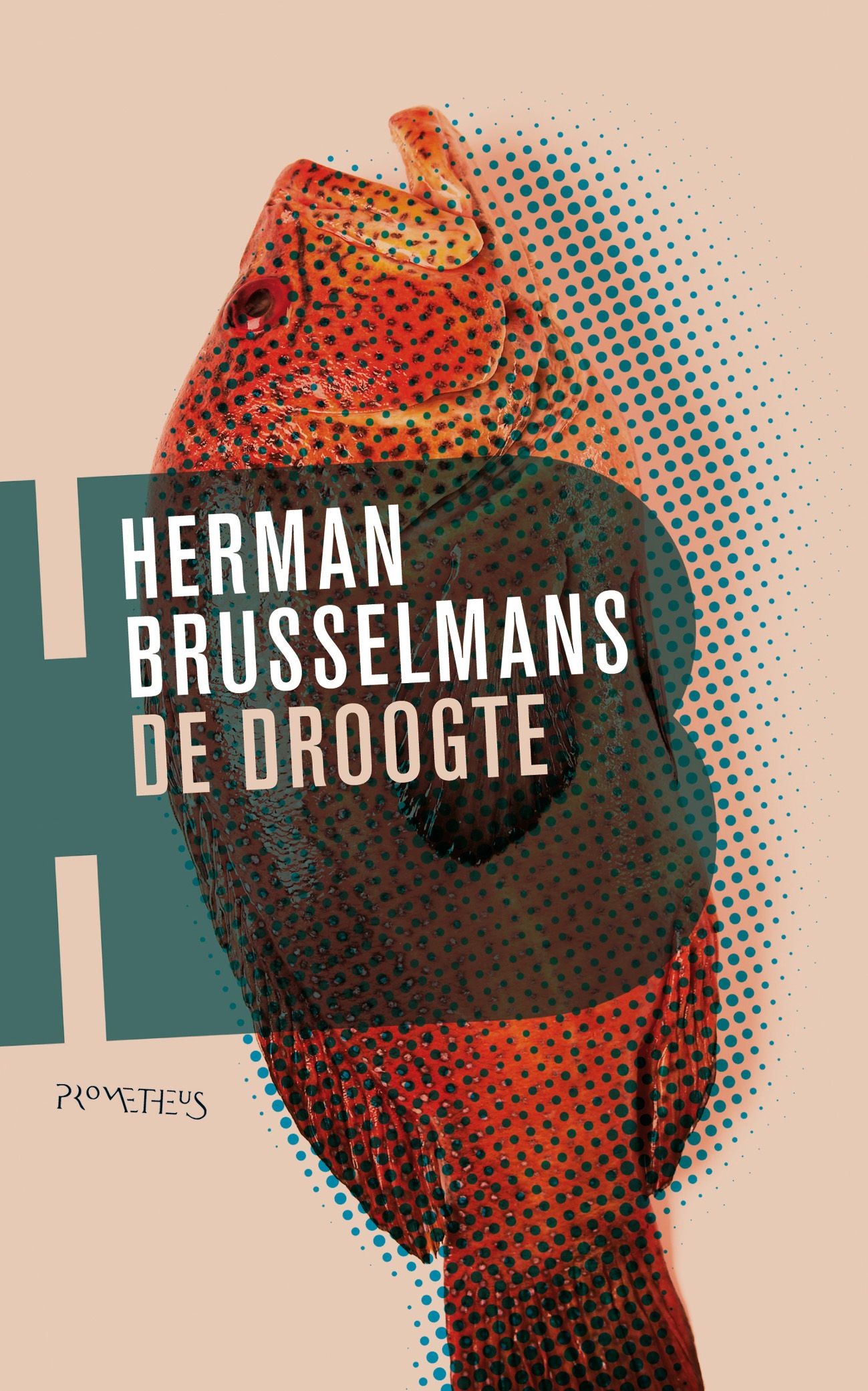 De droogte
