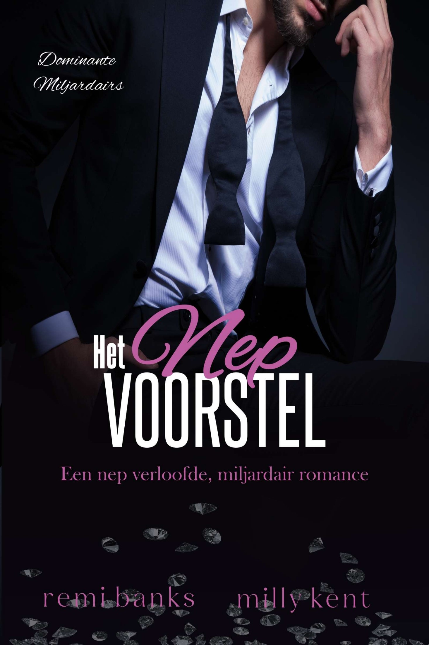 Het Nep Voorstel