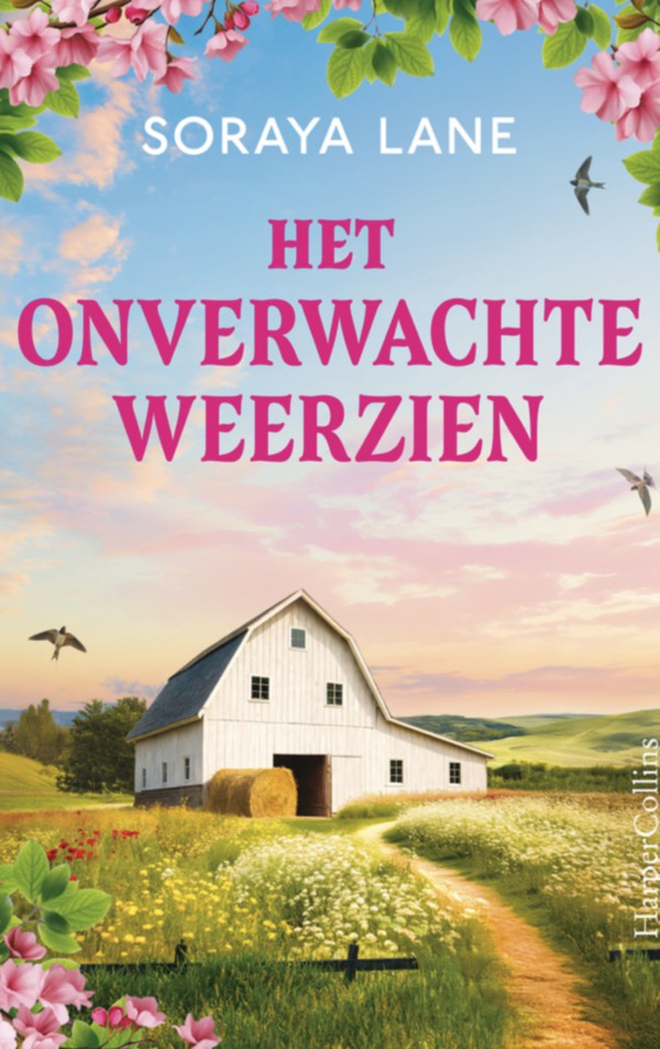 Het onverwachte weerzien
