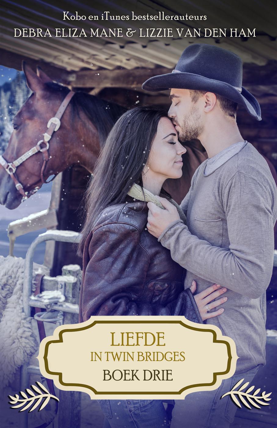 Liefde in Twin Bridges: boek drie
