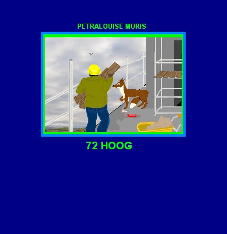 '72 hoog'