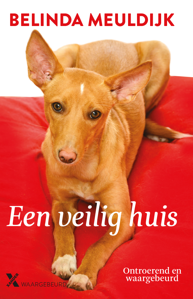 Een veilig huis