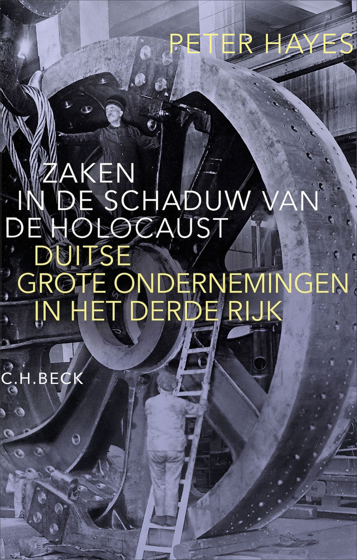 Zaken In De Schaduw Van de Holocaust