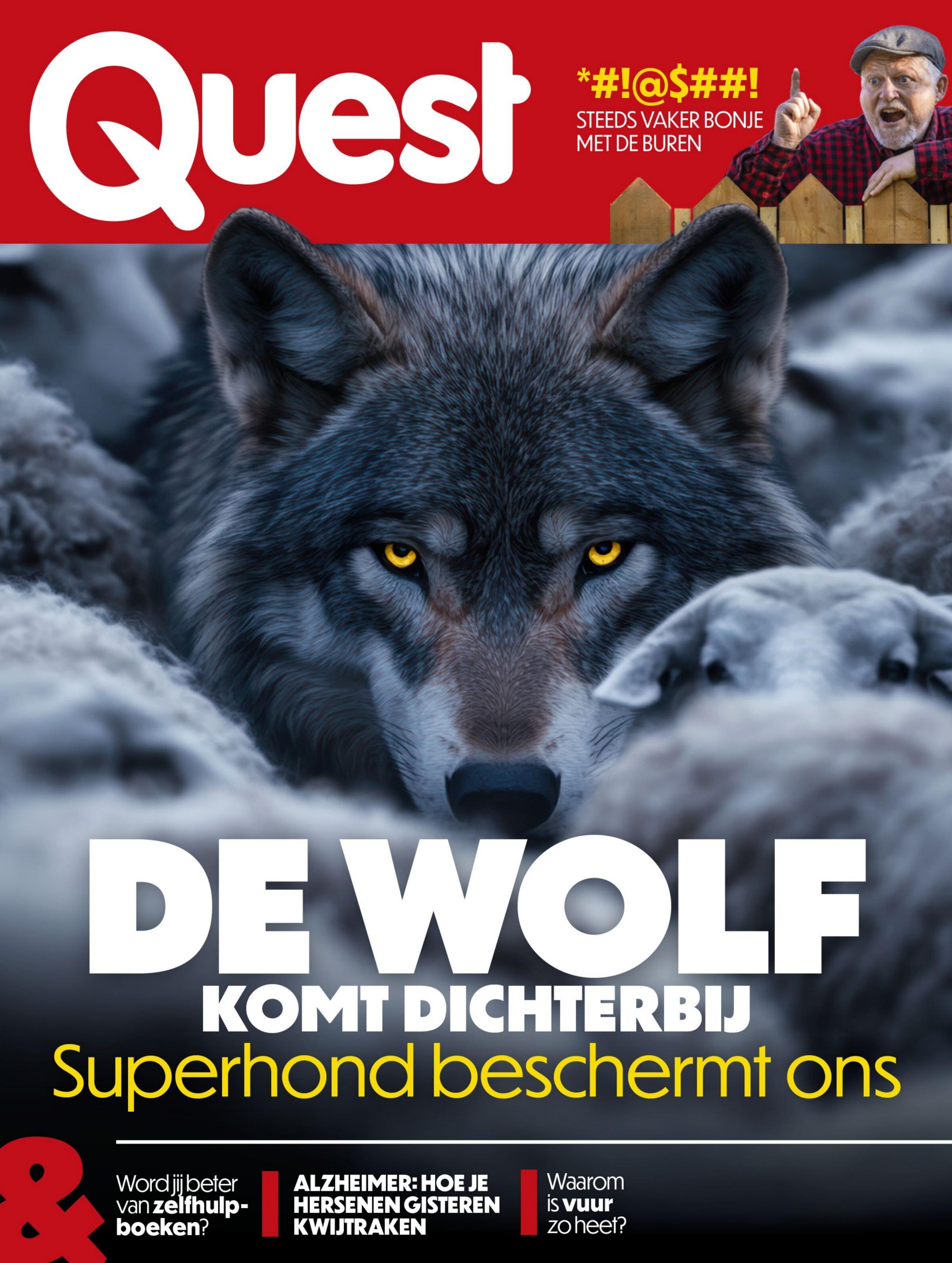 Quest - 20 Augustus 2026