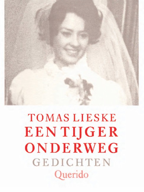 Een tijger onderweg