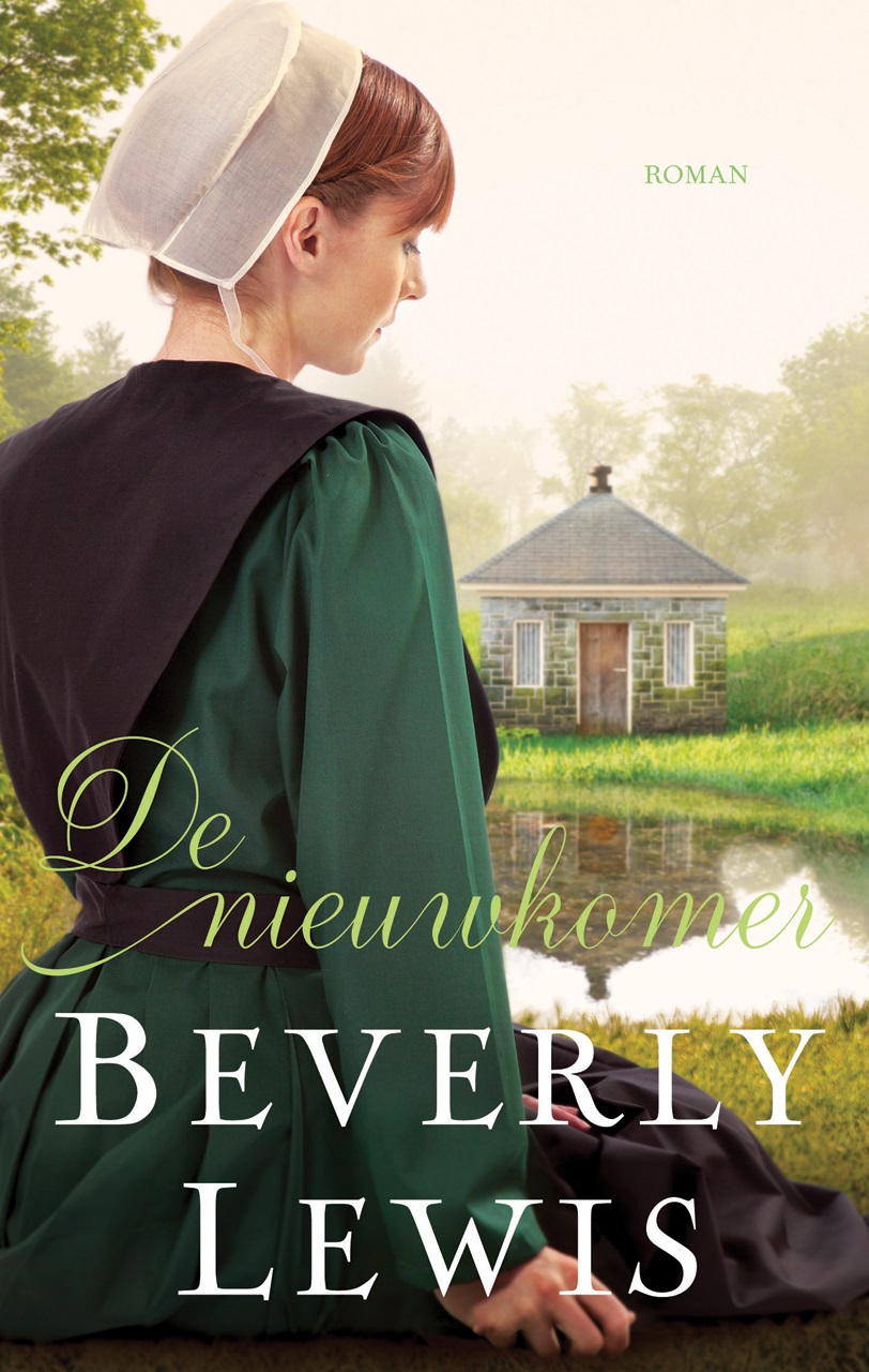 De nieuwkomer (Hickory Hollow #4)