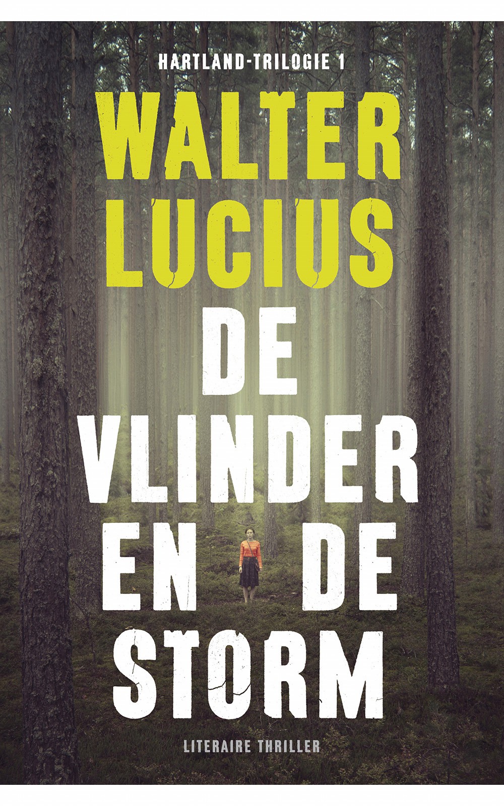 De vlinder en de storm