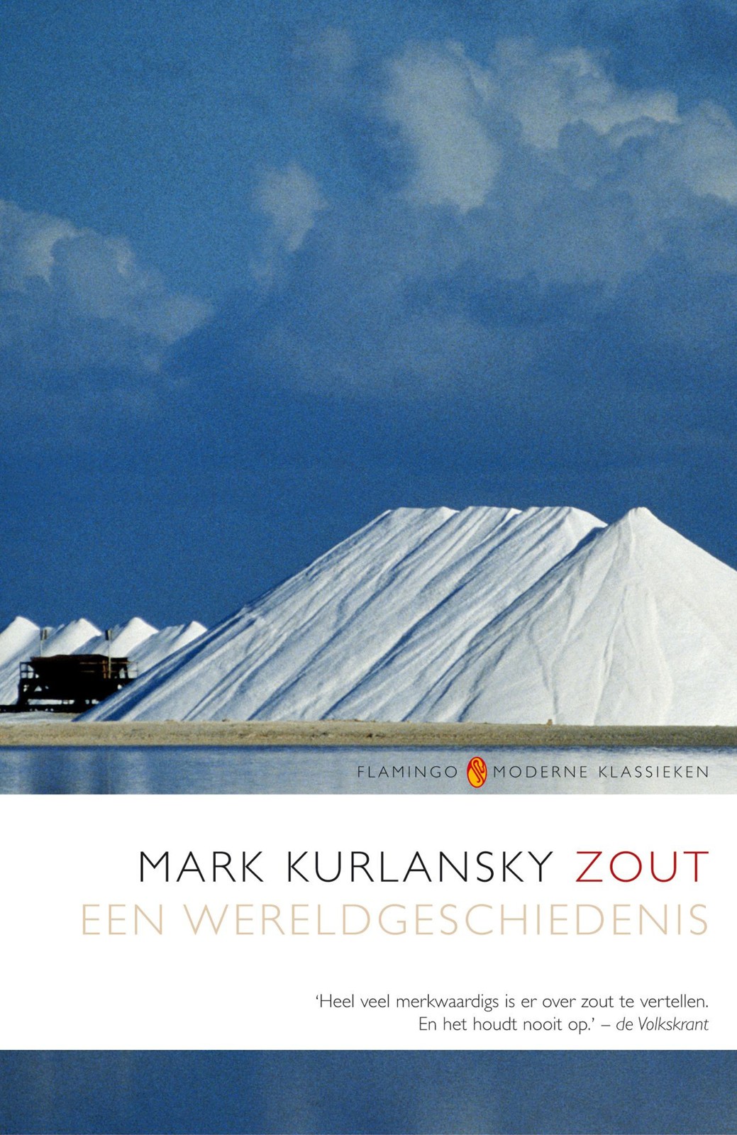 Zout. Een wereldgeschiedenis