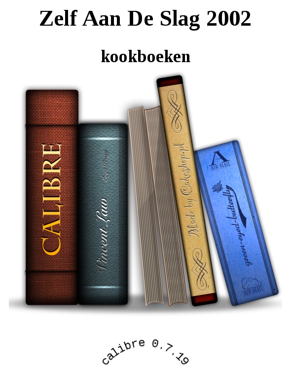 Zelf Aan De Slag 2002