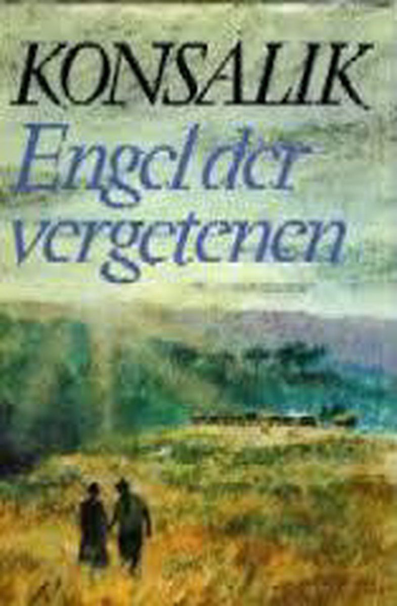 Engel der vergetenen: roman