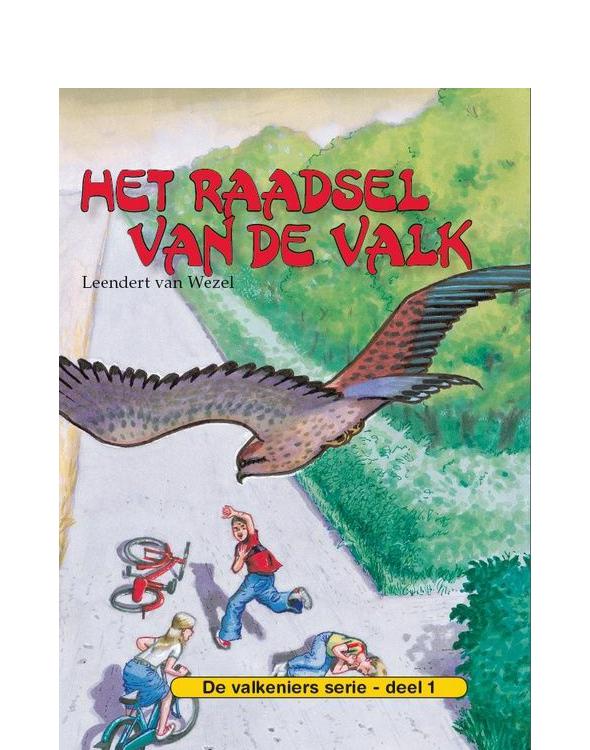 Het Raadsel van de Valk
