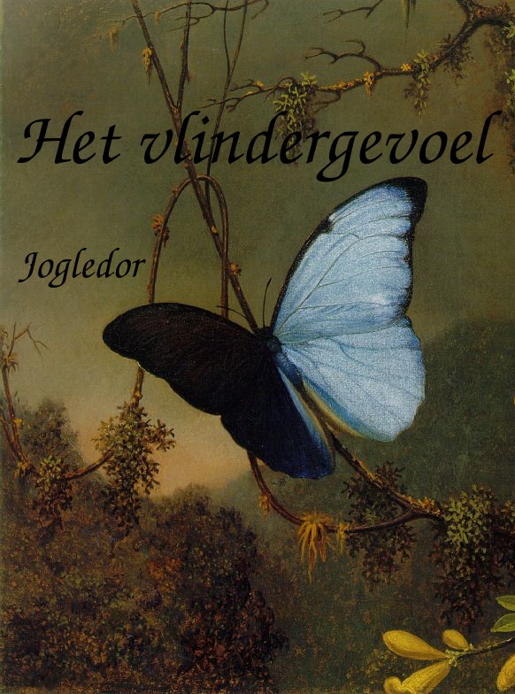 Het vlindergevoel