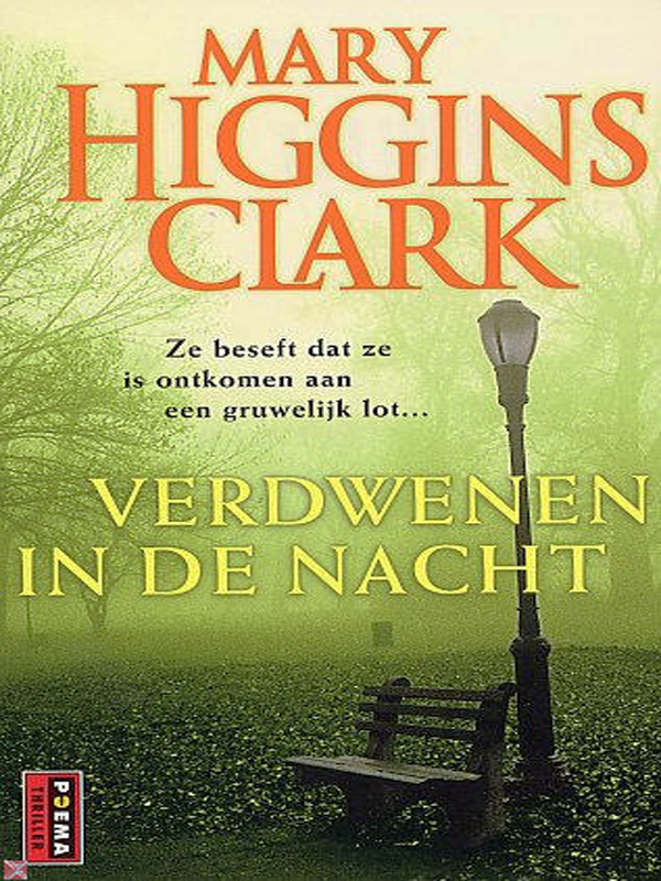 Verdwenen in de nacht