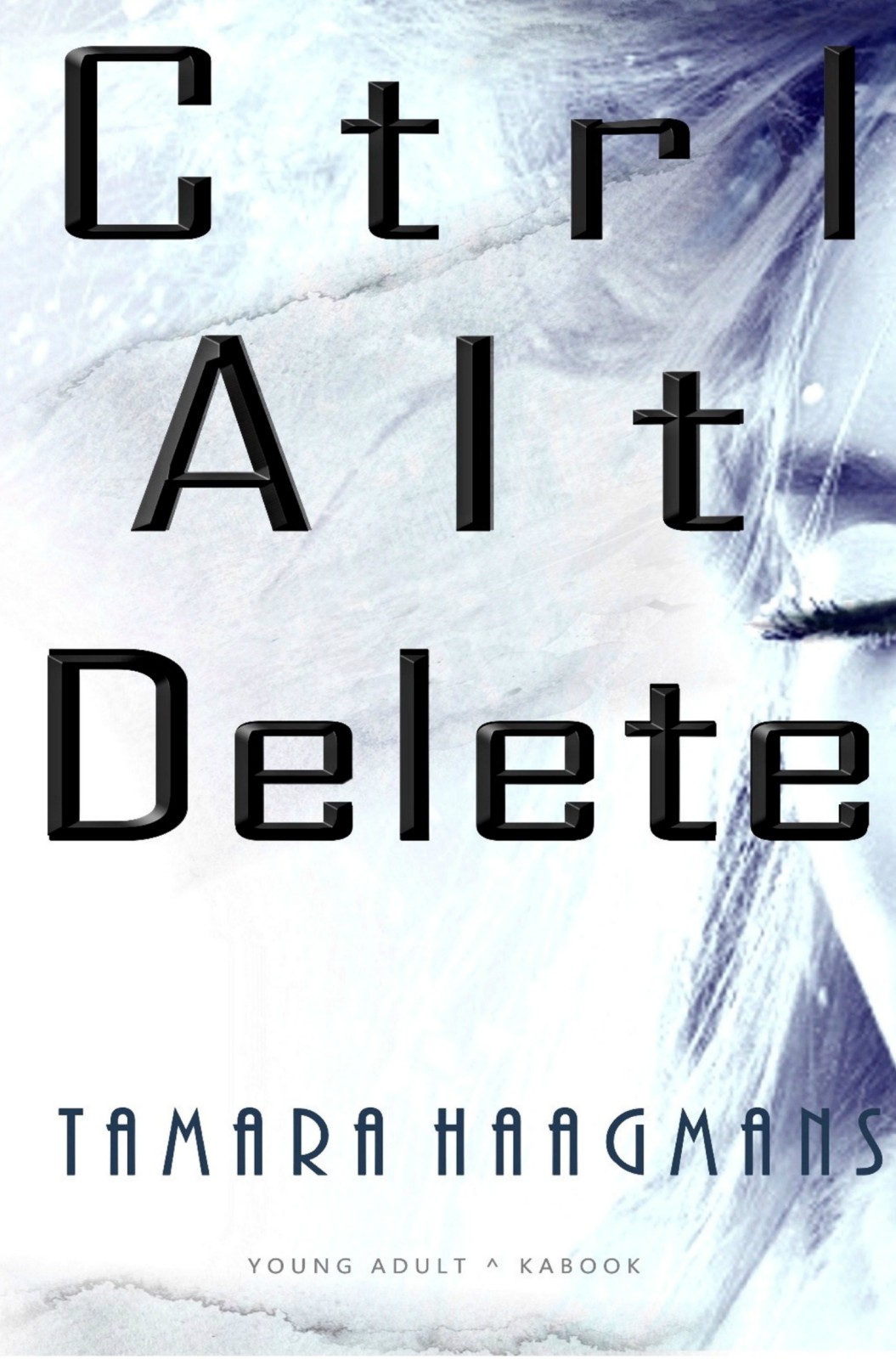 Ctrl Alt Delete