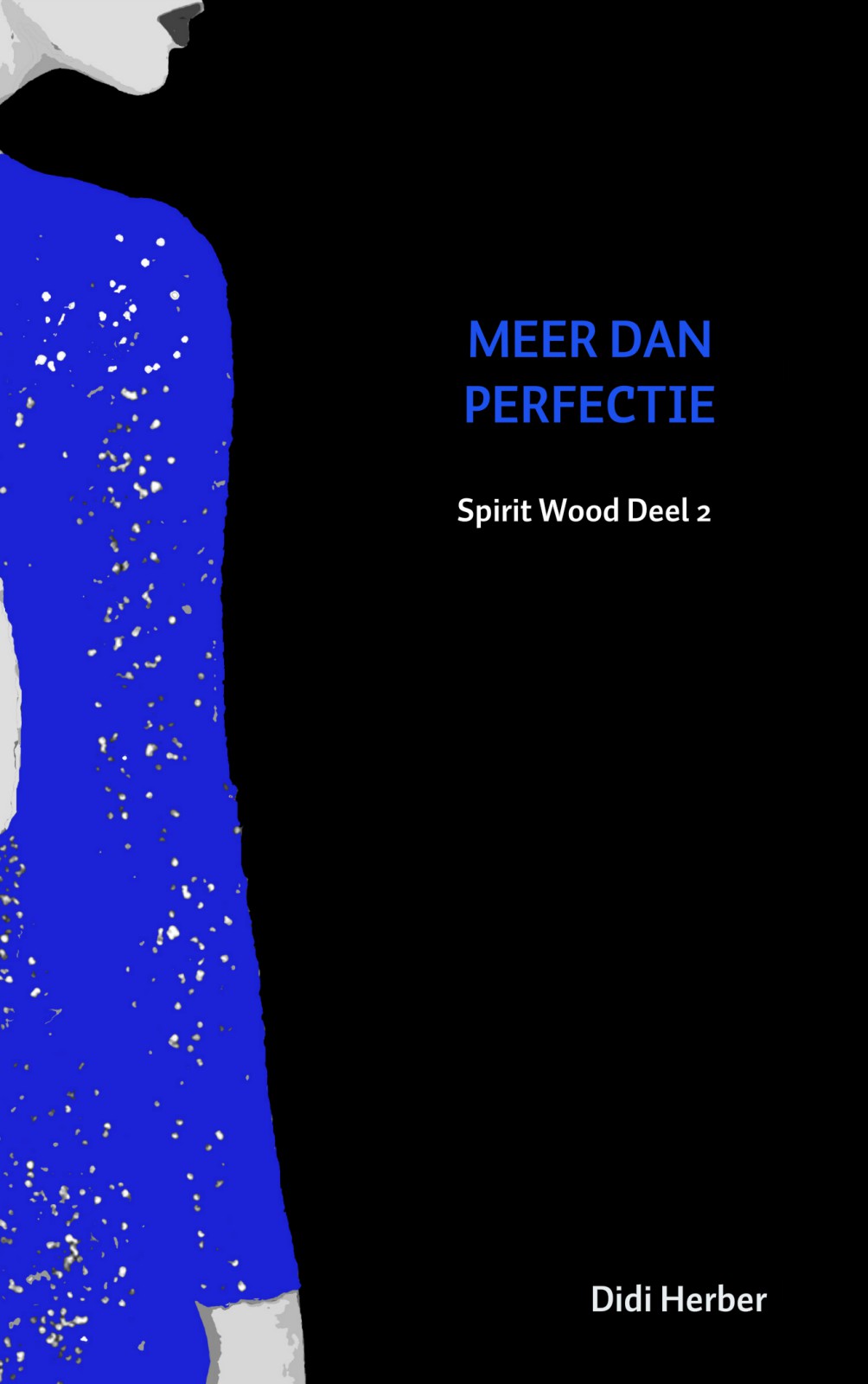 MEER DAN PERFECTIE