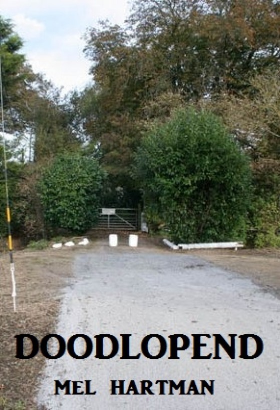 Doodlopend
