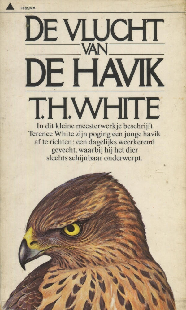 De vlucht van de havik