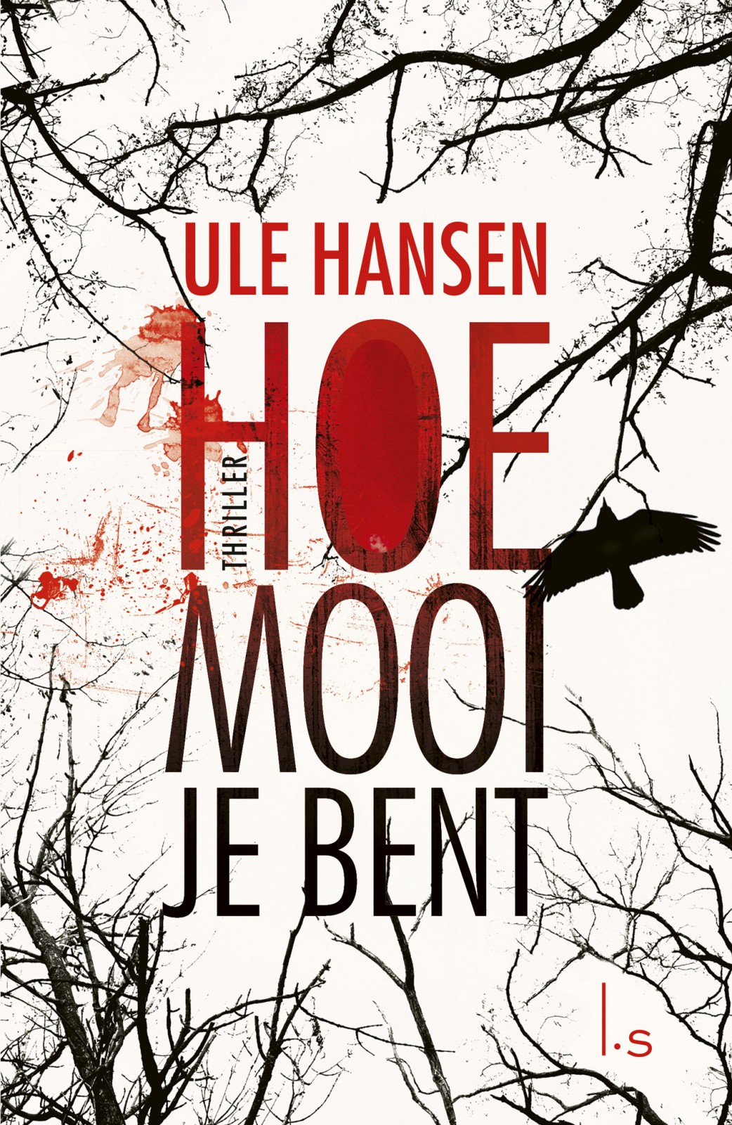 Hoe mooi je bent