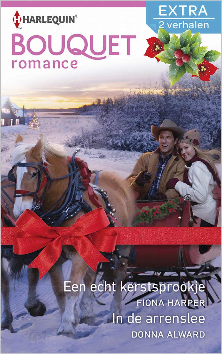Een echt kerstsprookje / In de arrenslee - Bouquet Extra Romance 350