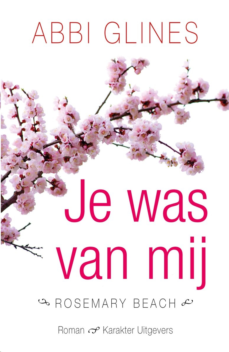 Je Was Van Mij (2016)