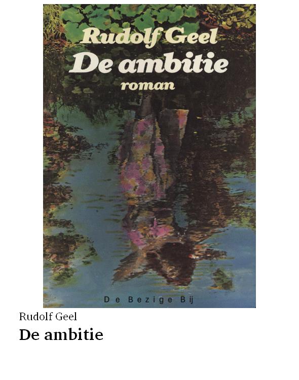 De ambitie
