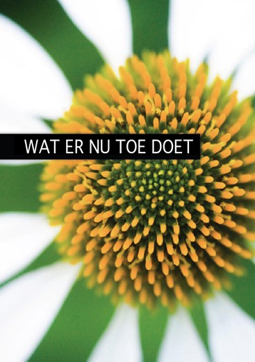Wat er nu toe doet