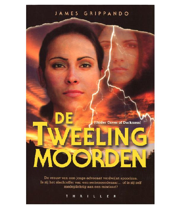 De tweelingmoorden