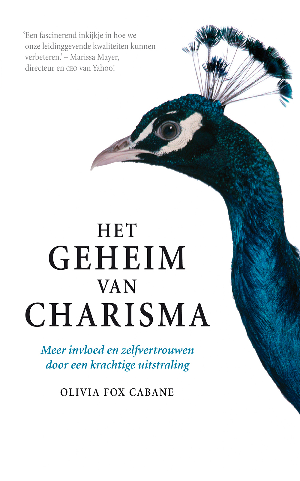 Het geheim van charisma