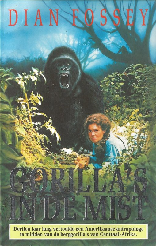 Gorilla's in de mist