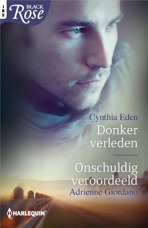 Donker verleden* / Onschuldig veroordeeld - *McGuire Securities deel 4