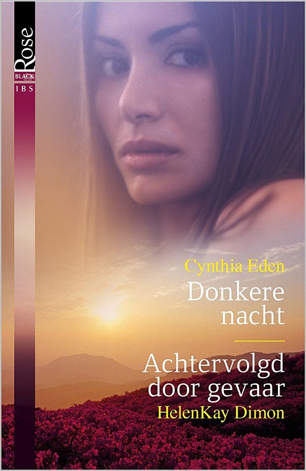 Donkere nacht* / Achtervolgd door gevaar - *McGuire Securities deel 3