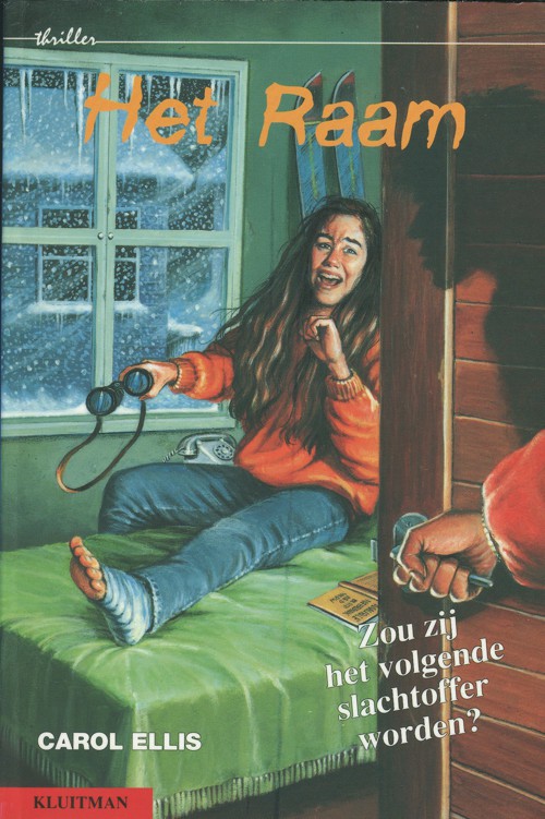 Het raam