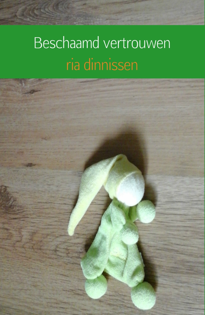 Beschaamd Vertrouwen (2016)